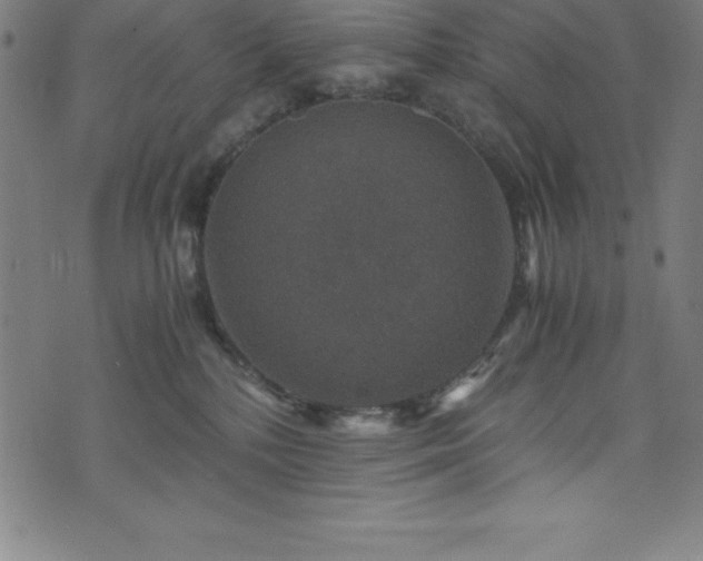 X0000076270232200610051318