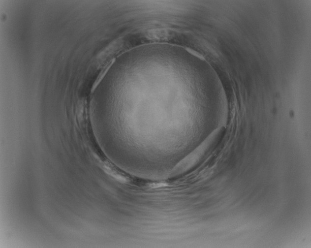 X0000076270233200610051318