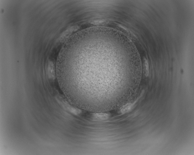 X0000076270234200610051318