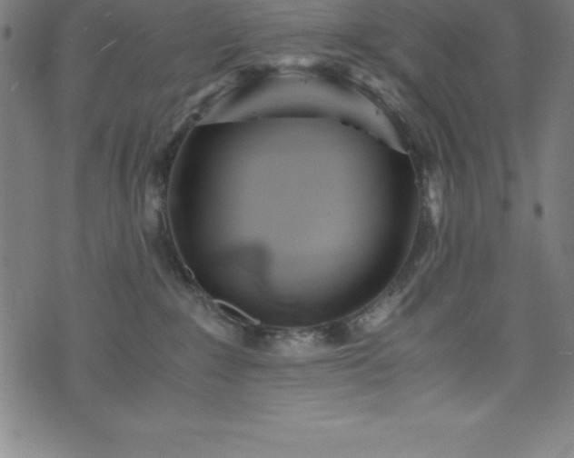 X0000076270235200610051318