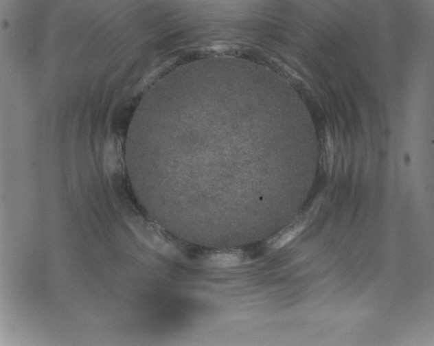 X0000076270236200610051318