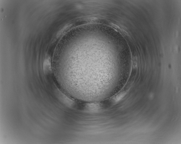 X0000076270238200610051318