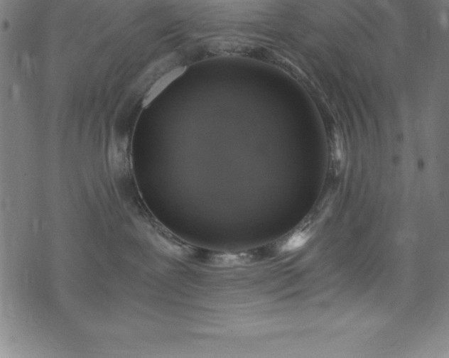 X0000076270239200610051318