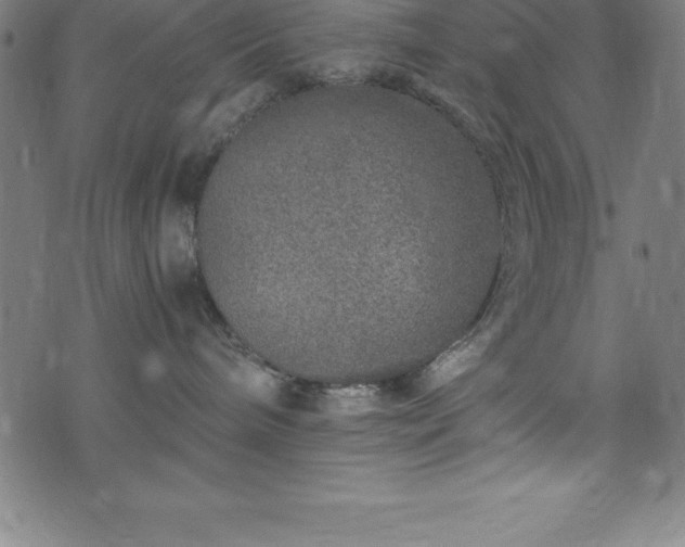 X0000076270240200610051318