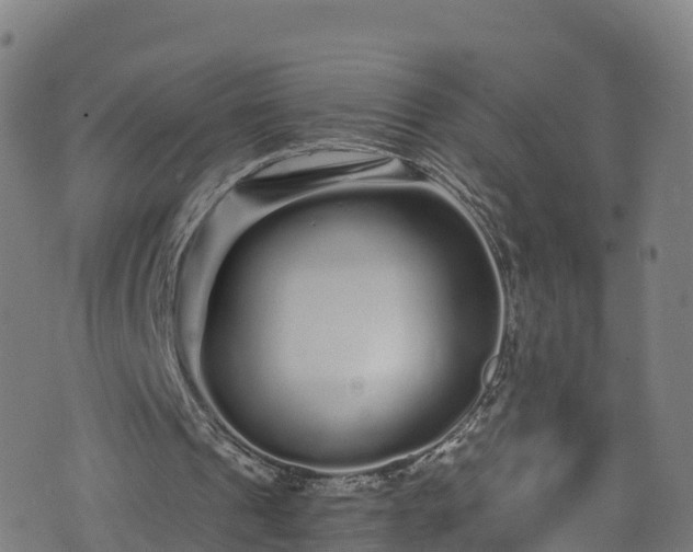 X0000076270241200610051318