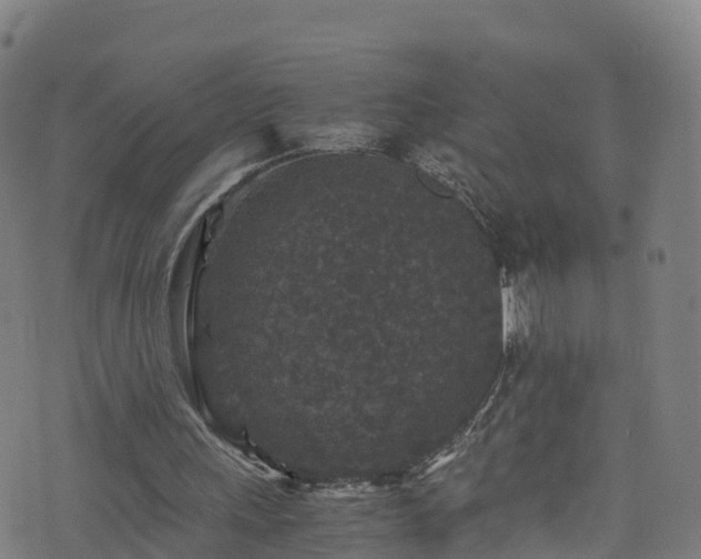 X0000076270243200610051318