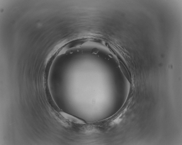 X0000076270244200610051318