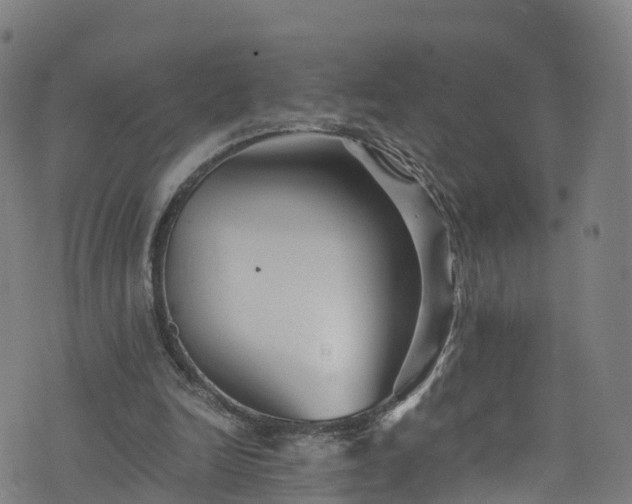 X0000076270246200610051318