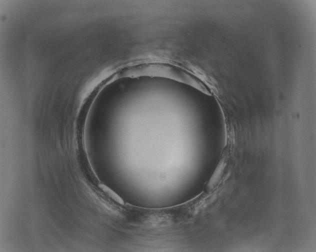 X0000076270248200610051318