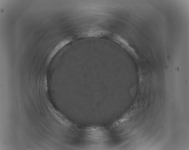 X0000076270250200610051318