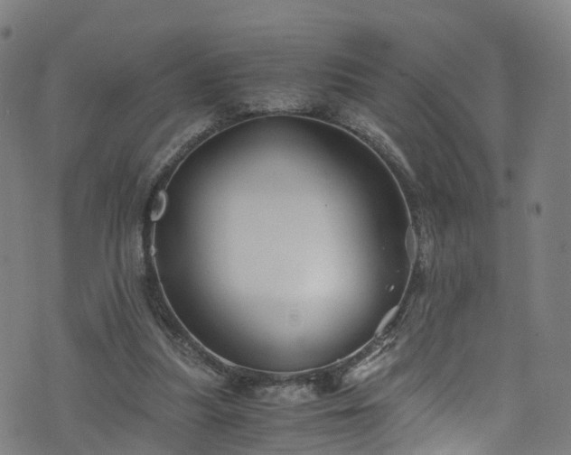 X0000076270251200610051318