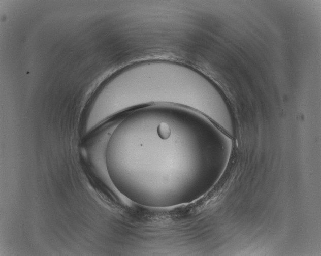 X0000076270252200610051318