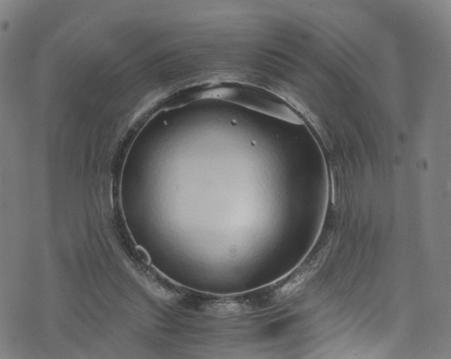 X0000076270253200610051318