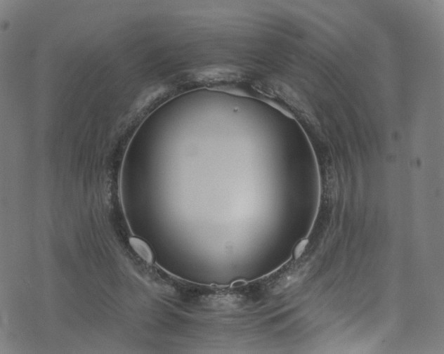 X0000076270255200610051318