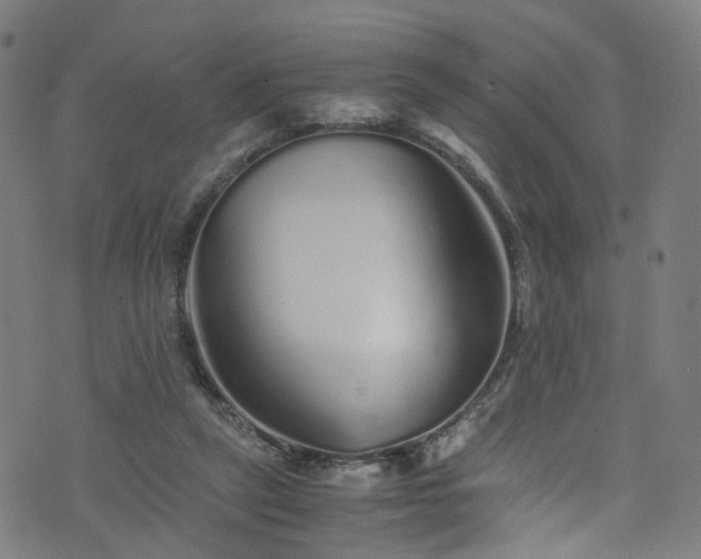 X0000076270257200610051318