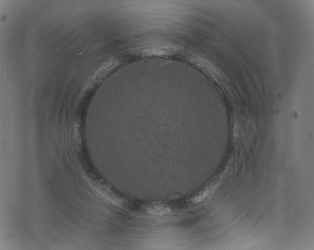 X0000076270258200610051318