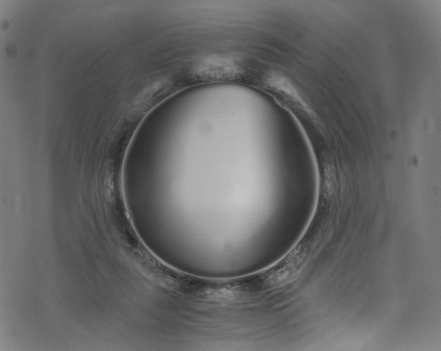 X0000076270259200610051318