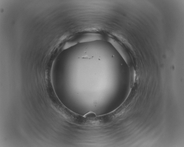 X0000076270260200610051318