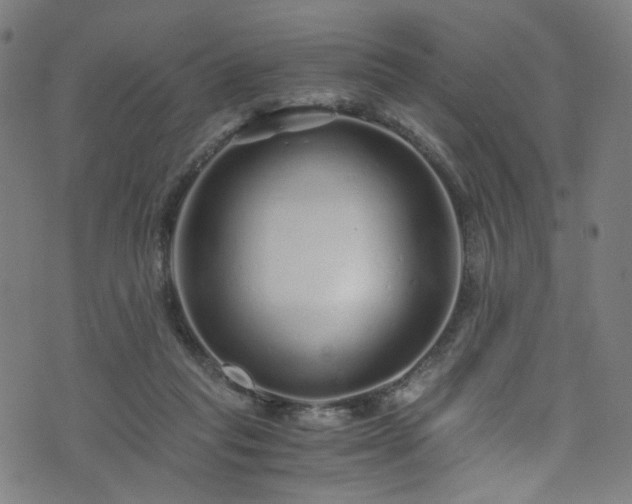 X0000076270261200610051318