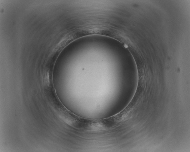 X0000076270262200610051318