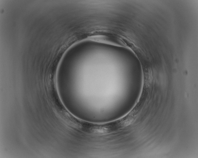 X0000076270263200610051318