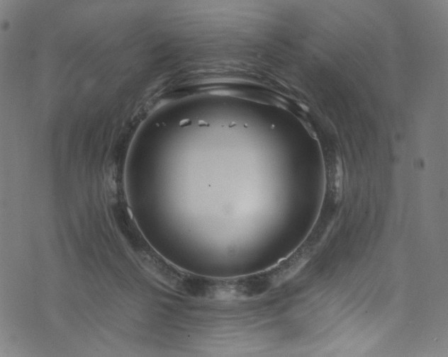 X0000076270264200610051318