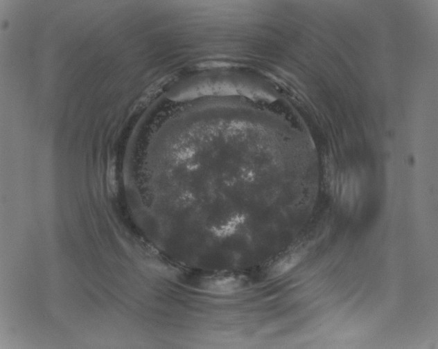 X0000076270267200610051318