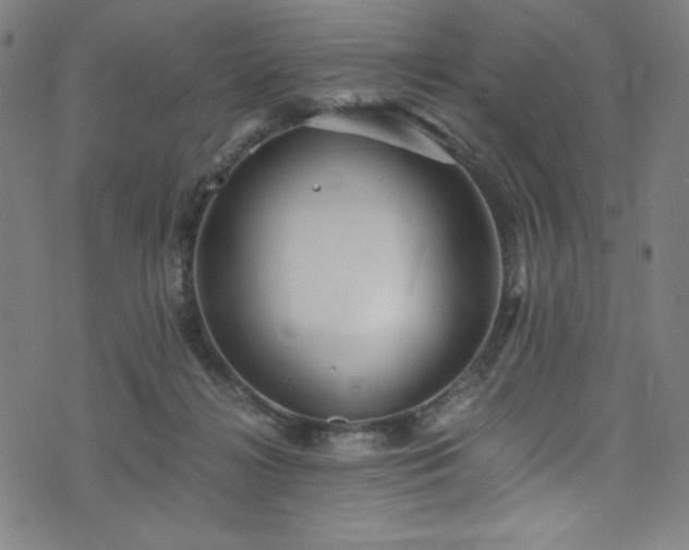 X0000076270268200610051318