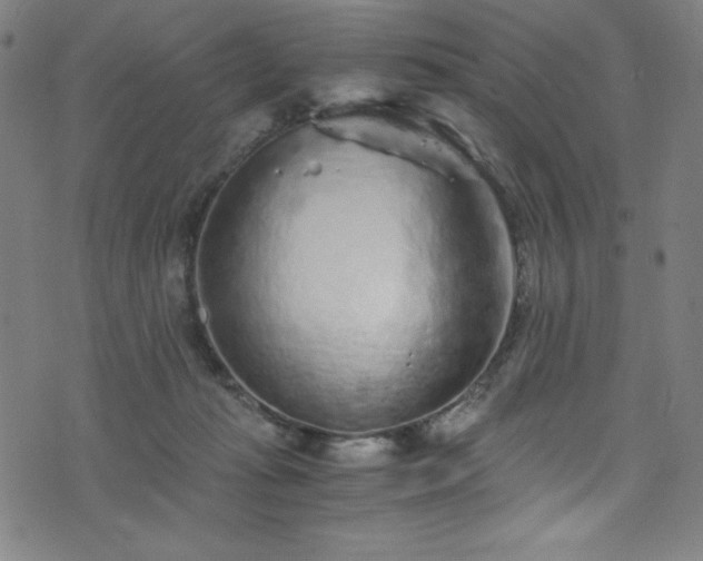 X0000076270269200610051318