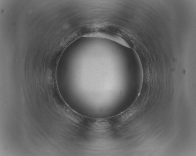 X0000076270270200610051318