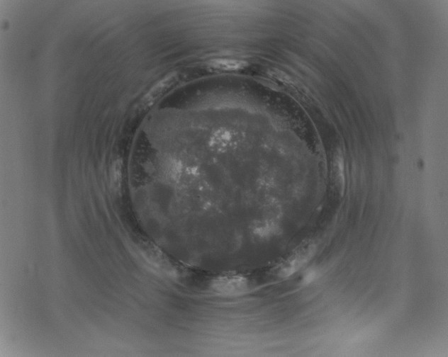 X0000076270271200610051318