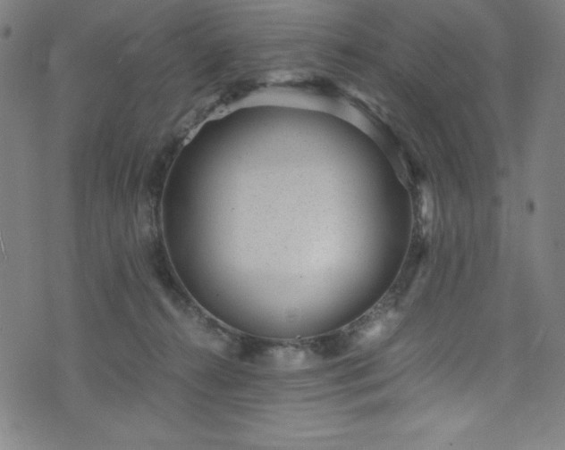 X0000076270272200610051318