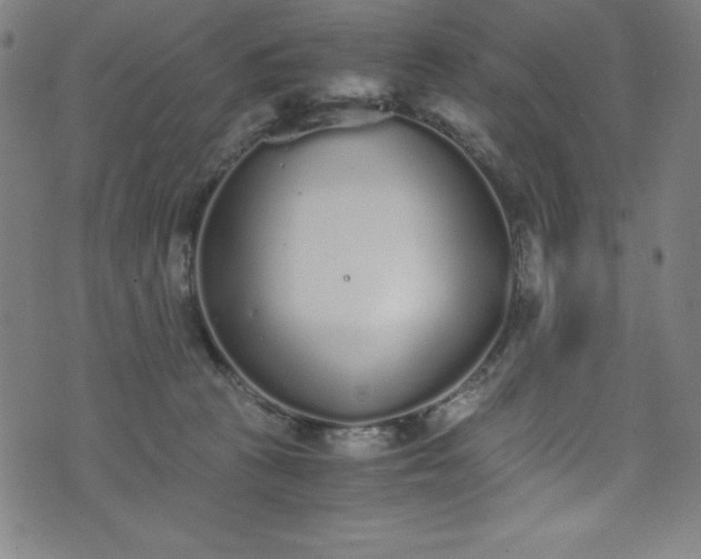 X0000076270273200610051318