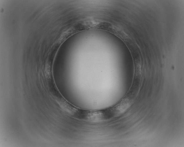 X0000076270274200610051318