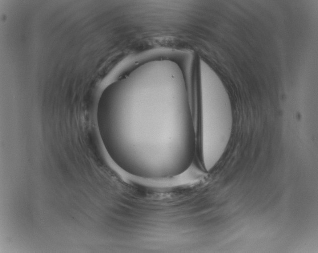 X0000076270276200610051318