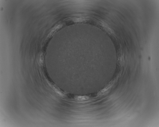 X0000076270277200610051318