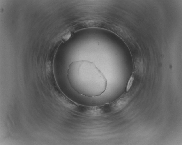 X0000076270278200610051318