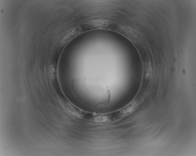 X0000076270279200610051318