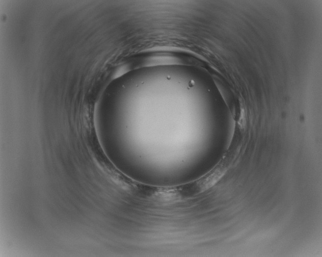 X0000076270280200610051318