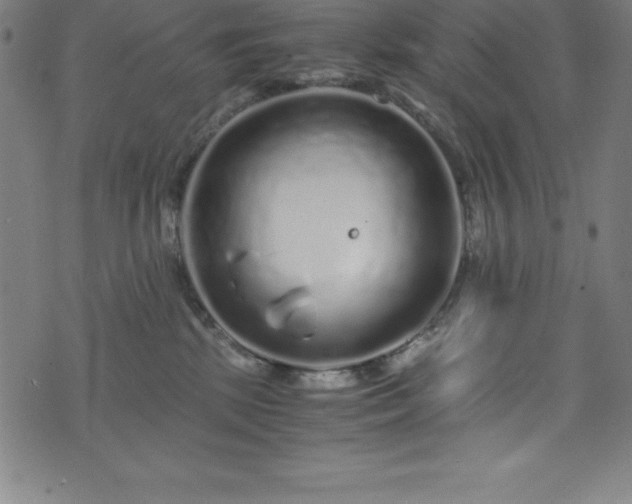 X0000076270281200610051318