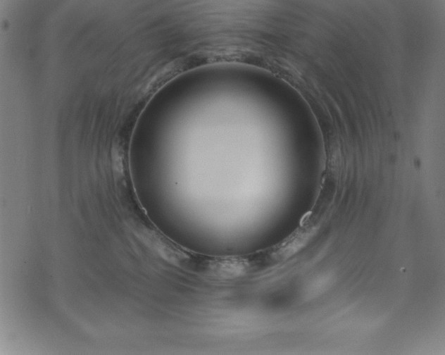 X0000076270282200610051318