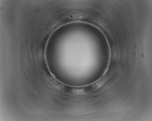 X0000076270283200610051318