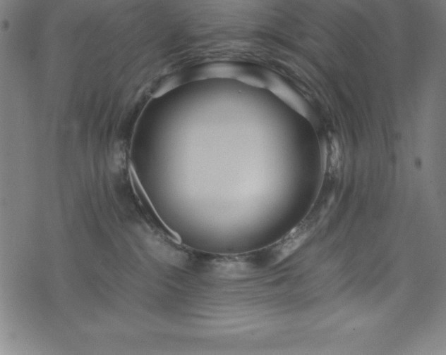 X0000076270284200610051318