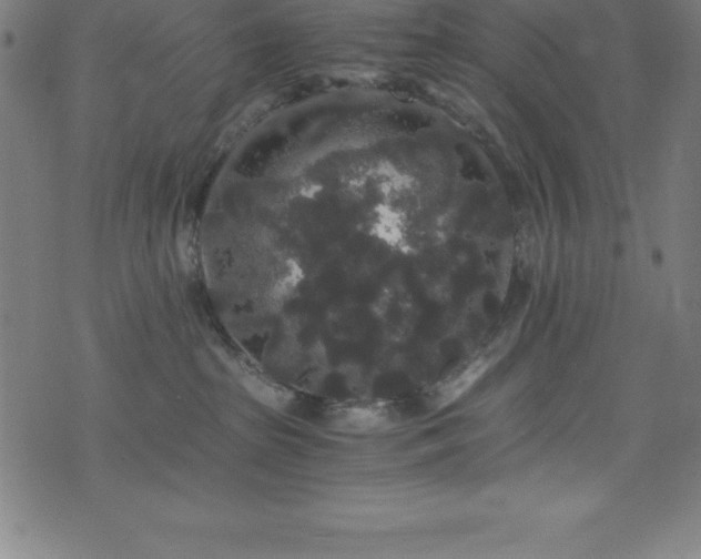 X0000076270285200610051318