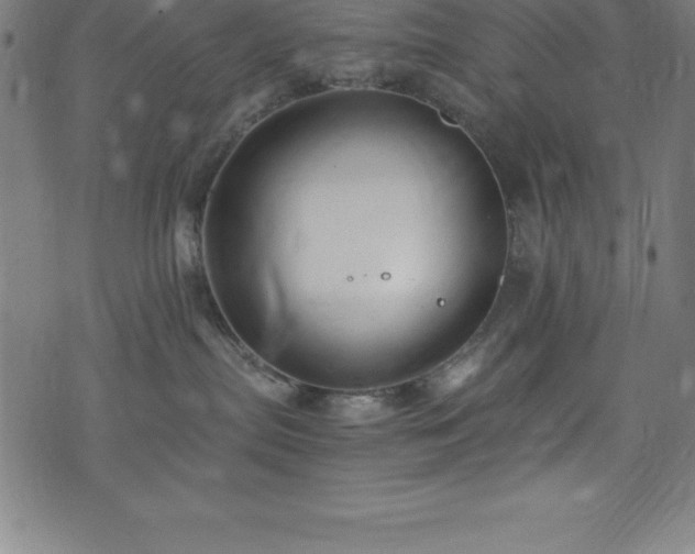 X0000076270287200610051318