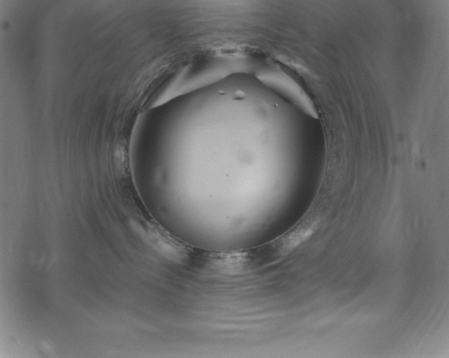 X0000076270288200610051318