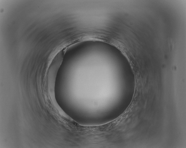 X0000076270289200610051318