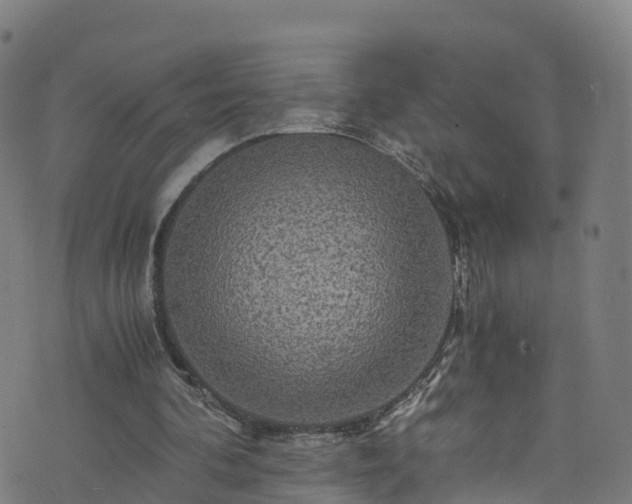 X0000076270292200610051317