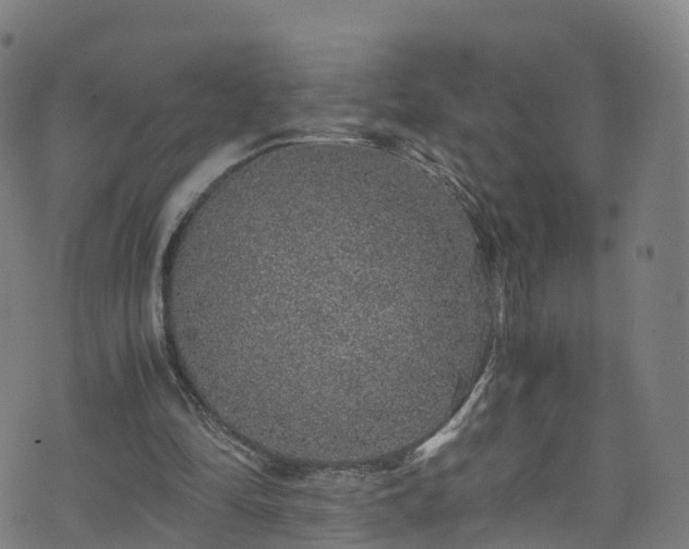 X0000076270294200610051317