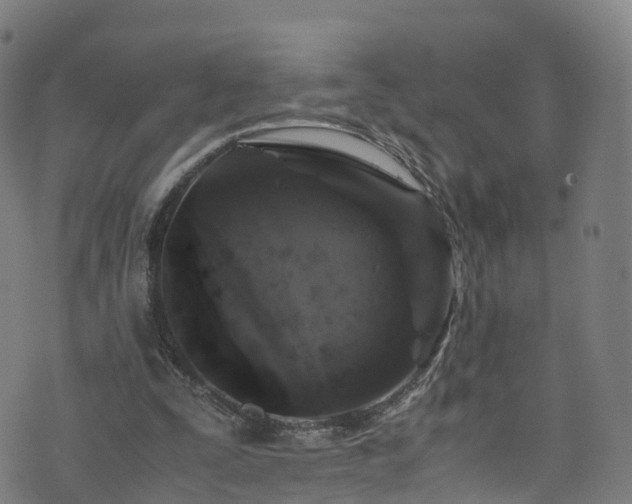 X0000076270295200610051317